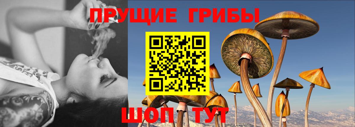 Анапа  Галлюциногенные грибы мицелий  Вход с VPN 